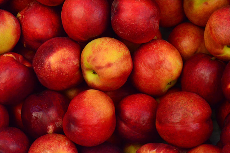 4 Simple Steps for Growing Organic Food